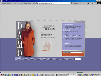 Website Damo, tekst en concept - 2001