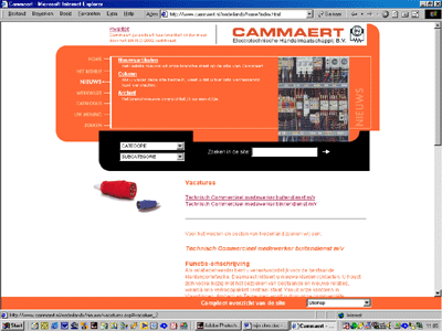 Website Cammaert, tekst - 2001