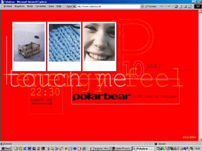 website Polarbear, teksten - 2001